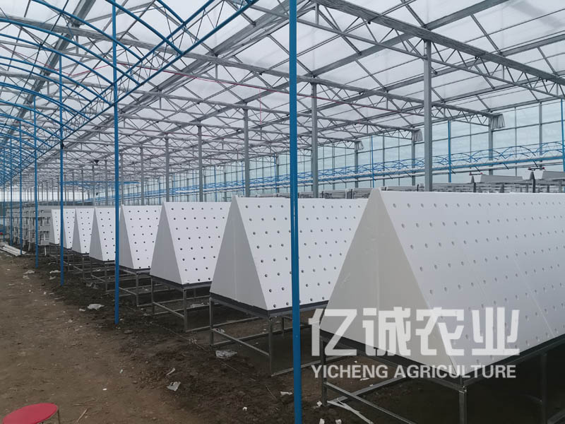 薯類作物的溫室大棚怎么建設？造價高不高？